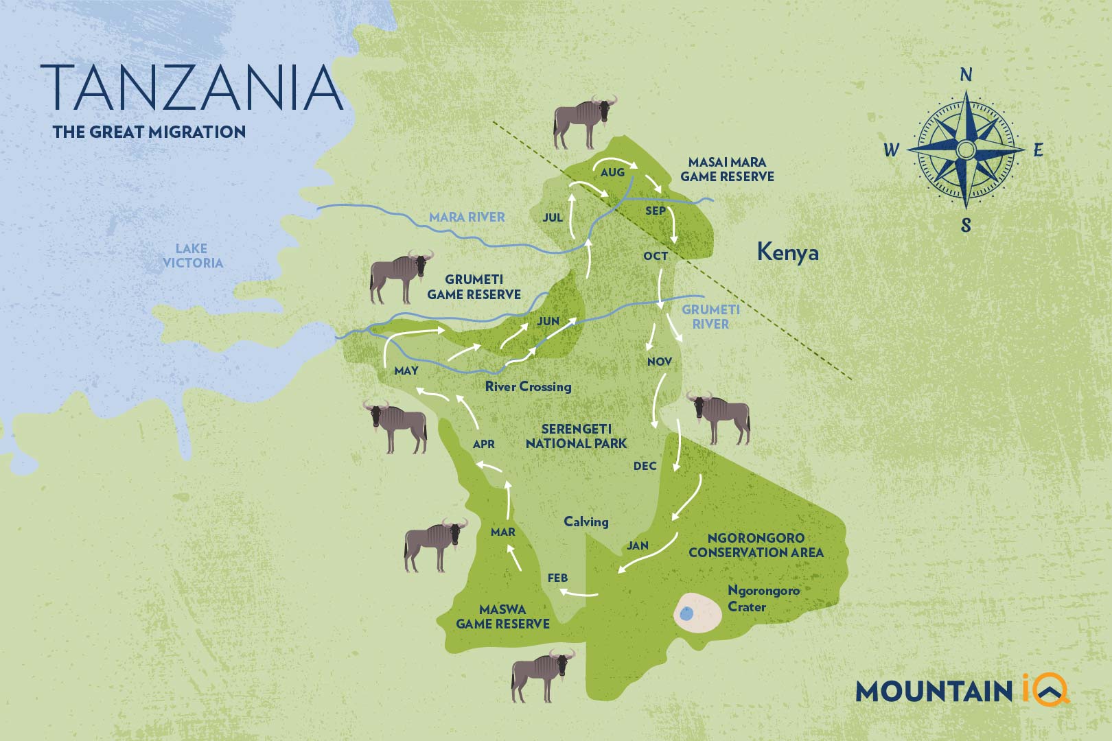 Serengeti Migration Safari 2023 Serengeti Trips Tanzania
