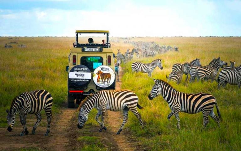 safari tour companies in tanzania