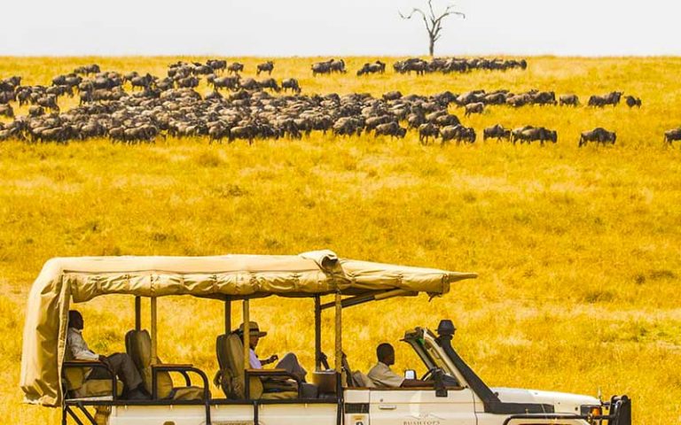 safari company in tanzania