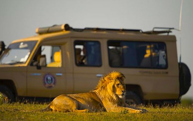 safari companies in tanzania