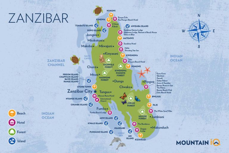 Diving In Zanzibar: Your #1 Revolutionary Guide