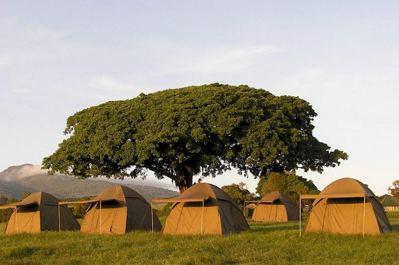 Ngorongoro-Simba-Campsite